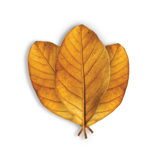 Blend - Tobacco  NicQuid